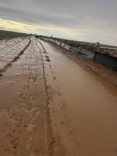 Muddy Fields 2