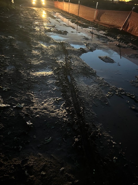 Muddy fields 3