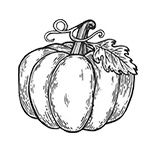 Seasonal